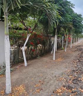 Canoa Cabina | Hacienda Joya Verde