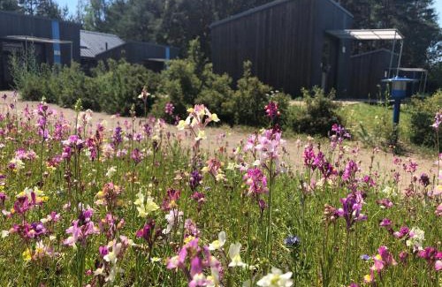 Senftenberg Apartamento | Hafencamp Senftenberger See