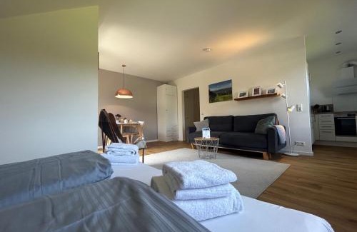 Hahnenklee Apartamento | Hahnenklee Charme - moderne neue Ferienwohnung mit 2 Balkons
