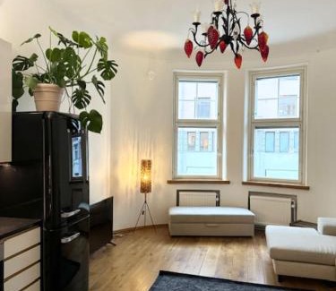 Kallio Apartamento | HAKANIEMI luxury apartment Helsinki center, 24h check in