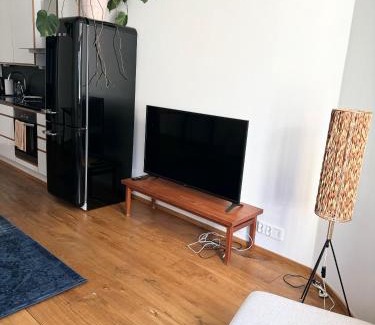 Kallio Apartamento | HAKANIEMI luxury apartment Helsinki center, 24h check in
