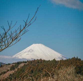 Hakone Casa | Hakone Fujimi 箱根富士見 富士山を望む