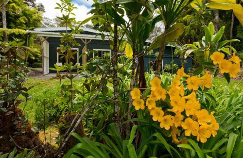 Volcano Cama Y Desayuno | Hale 'Ohu Bed & Breakfast