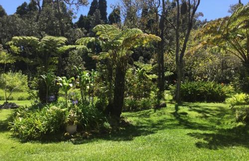 Volcano Cama Y Desayuno | Hale 'Ohu Bed & Breakfast