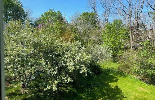 Hulls Cove Casa | Half Moon at Lookout Point - 5 BR - 4 BA House Central to all of Acadia