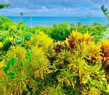 Aguamansa Casa | Halley View Summer House