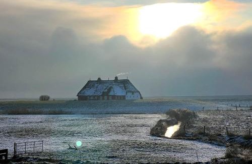 Langeneß Apartamento | Hallig Hüs