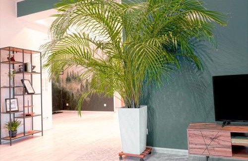 Lippstadt Apartamento | HAMA Design Homes Lippstadt