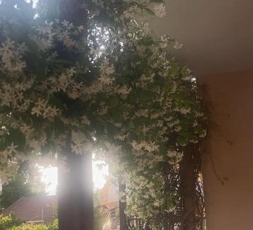 Siviri Apartamento | hamola calumba siviri