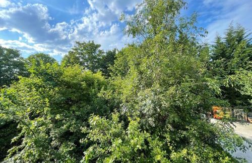 Garden Suburb Apartamento | Hampstead 4-bedrooms condo apartment
