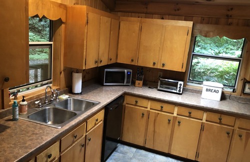 Mars Hill Cabina | Appalachian Trail, Asheville, Rocky Fork, familia y mascotas, bosque privado