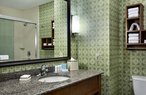 North Clayton Hotel | Hampton Inn and Suites Clayton/St Louis-Galleria Area 1 King Studio Suite