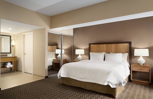 North Clayton Hotel | Hampton Inn and Suites Clayton/St Louis-Galleria Area 1 King Studio Suite