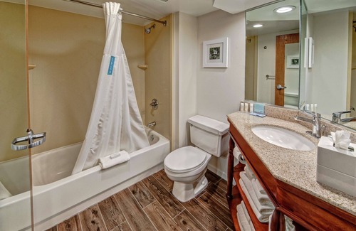 Matthews Hotel | Hampton Inn by Hilton Charlotte/Matthews