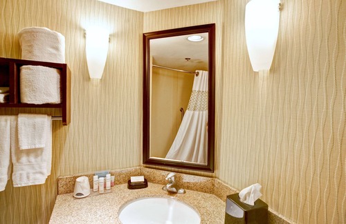 College Station Hotel | Hampton Inn College Station