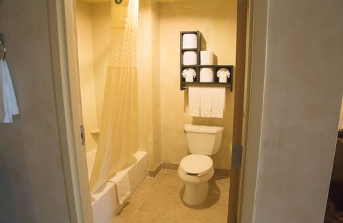 North Arlington Hotel | Hampton Inn & Suites Dallas Arlington N Entertainment Dist.