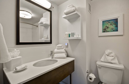 Burbank Hotel | Hampton Inn & Suites Los Angeles Burbank Airport