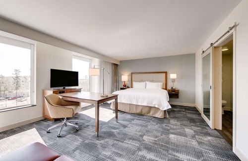 Spring Hotel | Hampton Inn & Suites North Houston Spring