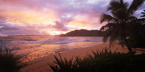 Wainiha Complejo | Hanalei Colony Resort