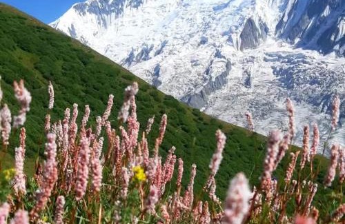 Hunza Otro | Hapakun camping site Minapin Hunza Nagar