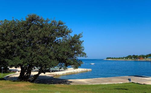 Lovrecica Complejo | Happy Camp Mobile Homes in Camping Park Umag