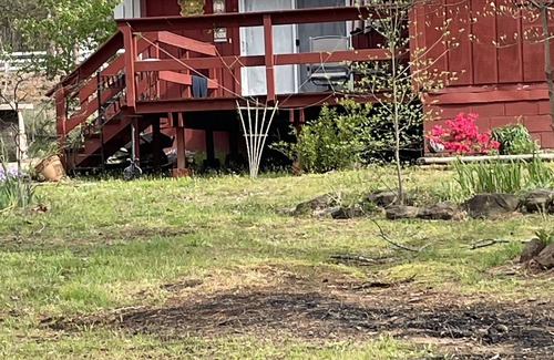 Heber Springs Cabina | Happy Camper Cabin is cozy and quiet!