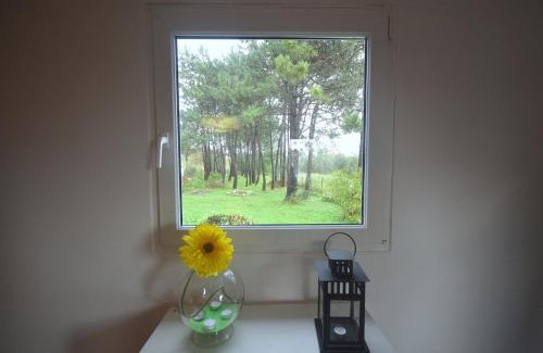 Sao Martinho do Porto Casa | Happy Cat House - Holiday Rental