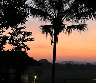 Ottapalam Casa | Happy Land