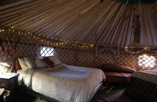 Abergele Casa | Hapus Yurt - Two Beautiful Yurts and Barn Cottage