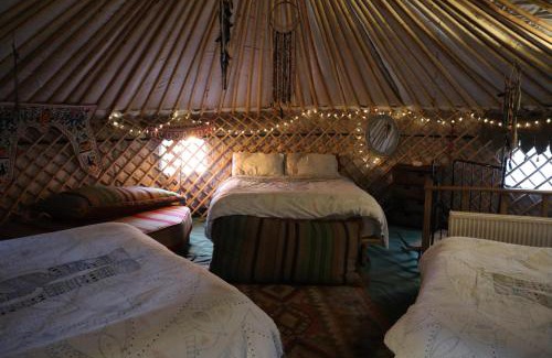 Abergele Casa | Hapus Yurt - Two Beautiful Yurts and Barn Cottage