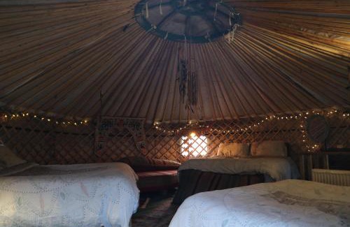 Abergele Casa | Hapus Yurt - Two Beautiful Yurts and Barn Cottage