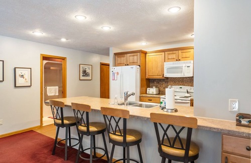 Harbor Springs Condominio | Harbor Cove 108 SKI! Beach! Tunnel of Trees!