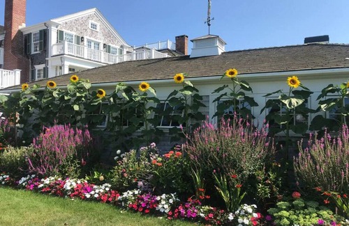 Edgartown Cabaña | Harbor Front cottage for monthly rent