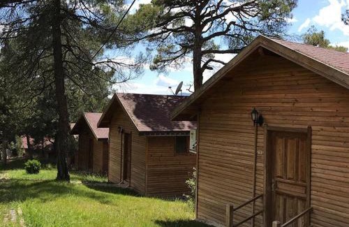 Kocasinan Cabina | Harmancık eko turizm tesisleri