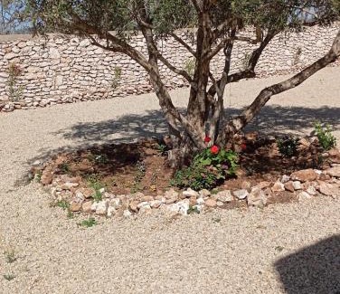 Essaouira Casa | Harmonie des alizés