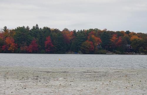 Lake Harmony Chalet De Esquí | Harmony in the Woods