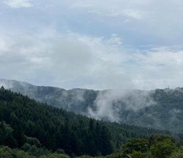 Skole Apartamento | harmony.of.mountains twin room