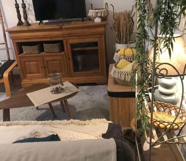 Miplaine Apartamento | Harmony of Nature - 4 pers - Near Eurexpo and Groupama Stadium