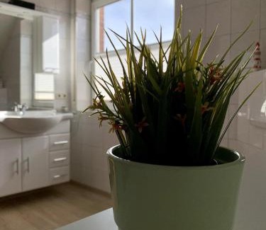 Theene Apartamento | Harms, Ferienwohnung