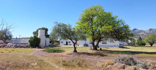 Kamieskroon Casa | Harry's Place Guesthouse