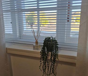 Kamieskroon Casa | Harry's Place Guesthouse