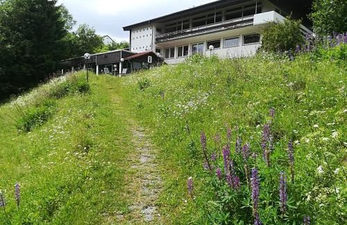 Schulenberg im Oberharz Apartamento | Harz-See-Lodge