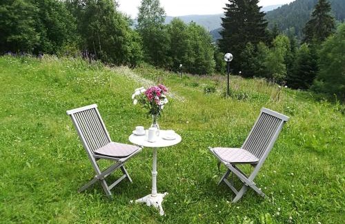 Schulenberg im Oberharz Apartamento | Harz-See-Lodge