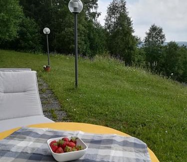 Schulenberg im Oberharz Apartamento | Harz-See-Lodge