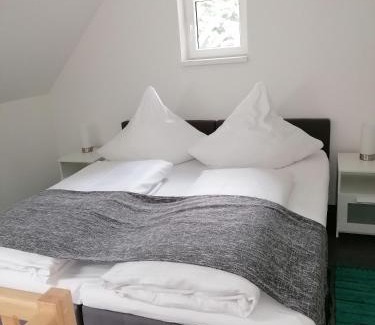 Wildemann Casa | Harz-Tiny DAN291