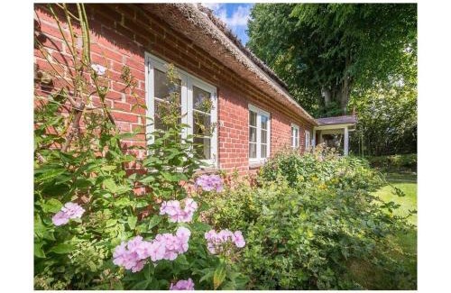 Steinbergkirche Casa | Hasenhaus Comfortable holiday residence