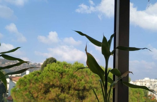 Haifa Apartamento | Hasharon a 9 minutos de la playa 3 dormitorios