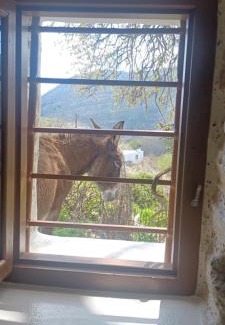 Aperathos Casa | Hatzanario Apeiranthos