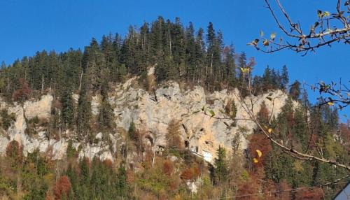 Saalfelden am Steinernen Meer Apartamento | Haus Lichtenberger