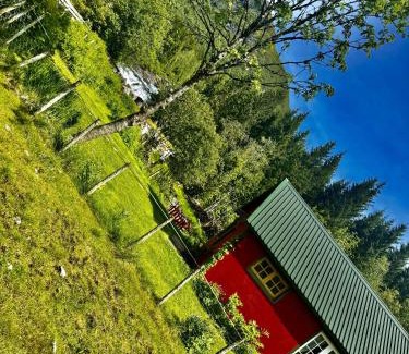 Forde Casa | Haukedalen mountain panorama river view